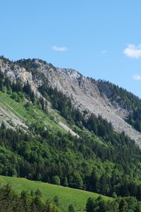 Preview wallpaper slope, trees, forest, mountains
