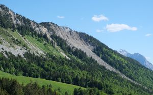 Preview wallpaper slope, trees, forest, mountains