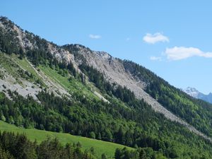 Preview wallpaper slope, trees, forest, mountains