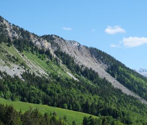Preview wallpaper slope, trees, forest, mountains