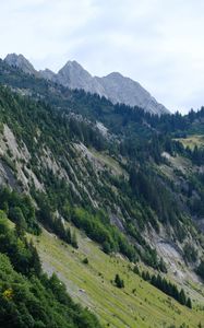 Preview wallpaper slope, trees, grass, mountains