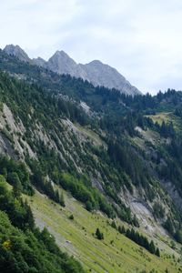 Preview wallpaper slope, trees, grass, mountains