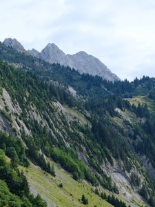 Preview wallpaper slope, trees, grass, mountains