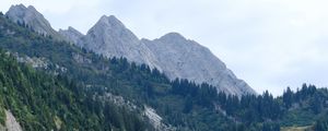 Preview wallpaper slope, trees, grass, mountains