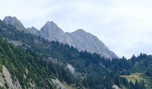 Preview wallpaper slope, trees, grass, mountains
