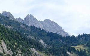 Preview wallpaper slope, trees, grass, mountains