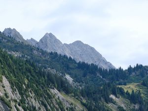 Preview wallpaper slope, trees, grass, mountains