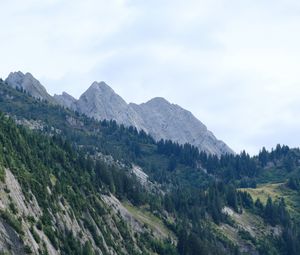 Preview wallpaper slope, trees, grass, mountains