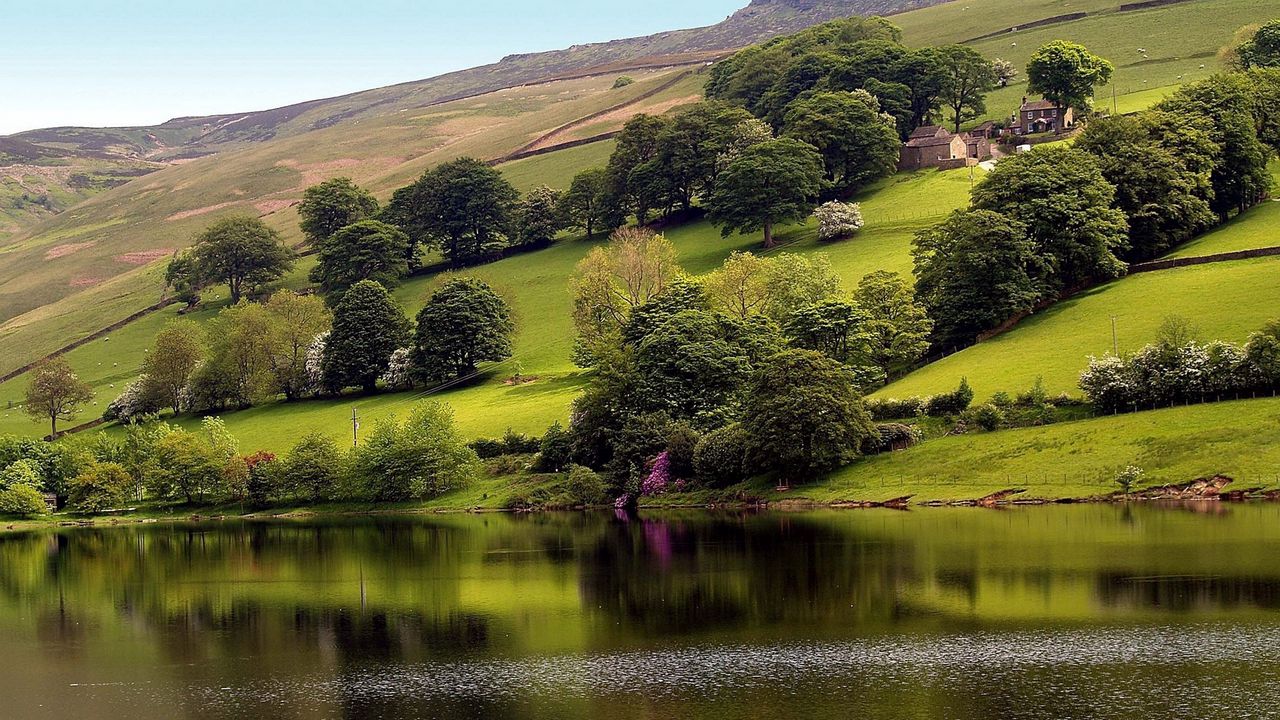 Wallpaper slope, trees, greens, grass, houses, lake