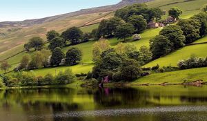 Preview wallpaper slope, trees, greens, grass, houses, lake