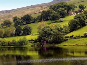 Preview wallpaper slope, trees, greens, grass, houses, lake