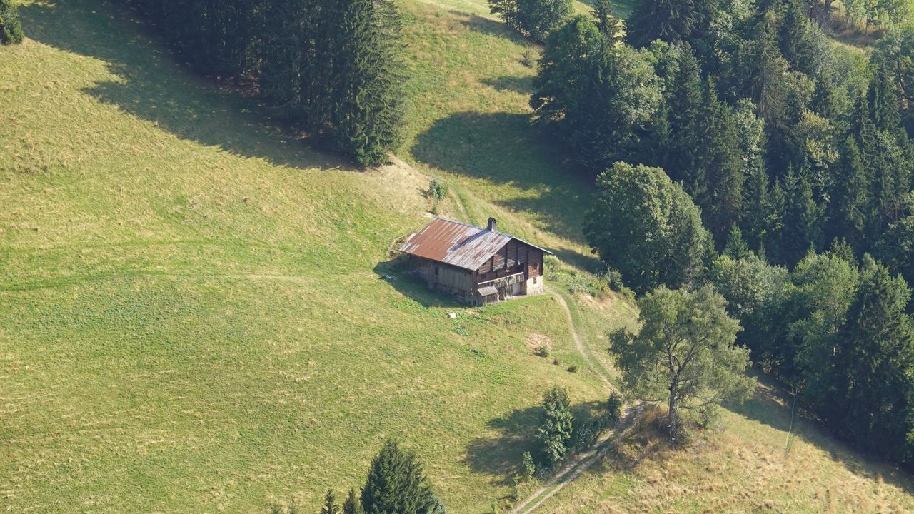 Wallpaper slope, trees, house, trail, landscape, nature