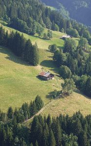 Preview wallpaper slope, trees, house, trail, landscape, nature