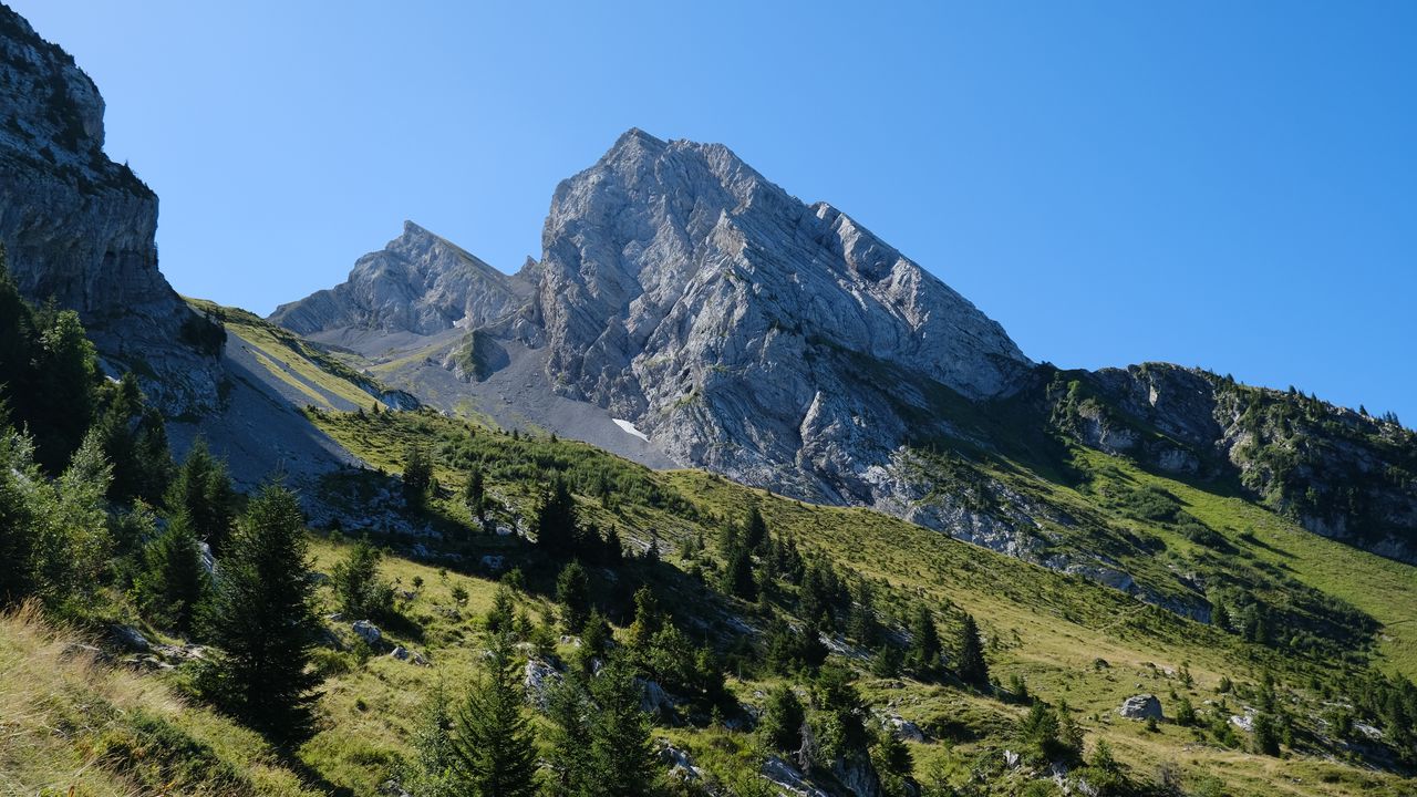 Wallpaper slope, trees, mountain, landscape, nature