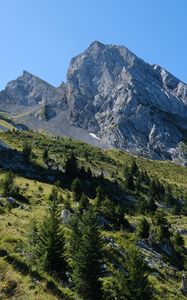 Preview wallpaper slope, trees, mountain, landscape, nature