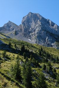 Preview wallpaper slope, trees, mountain, landscape, nature