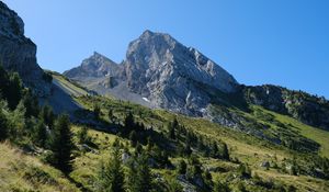 Preview wallpaper slope, trees, mountain, landscape, nature