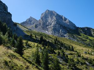 Preview wallpaper slope, trees, mountain, landscape, nature