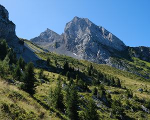 Preview wallpaper slope, trees, mountain, landscape, nature