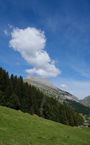 Preview wallpaper slope, trees, mountain, sky, nature