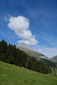 Preview wallpaper slope, trees, mountain, sky, nature