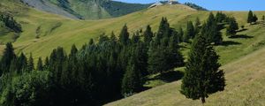 Preview wallpaper slope, trees, mountains, grass, landscape