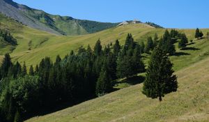 Preview wallpaper slope, trees, mountains, grass, landscape