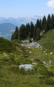 Preview wallpaper slope, trees, mountains, landscape, nature