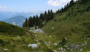 Preview wallpaper slope, trees, mountains, landscape, nature
