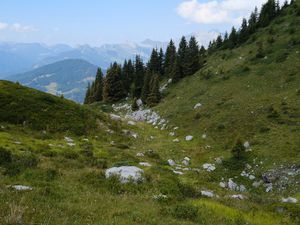 Preview wallpaper slope, trees, mountains, landscape, nature