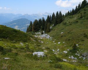 Preview wallpaper slope, trees, mountains, landscape, nature