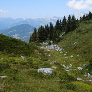 Preview wallpaper slope, trees, mountains, landscape, nature