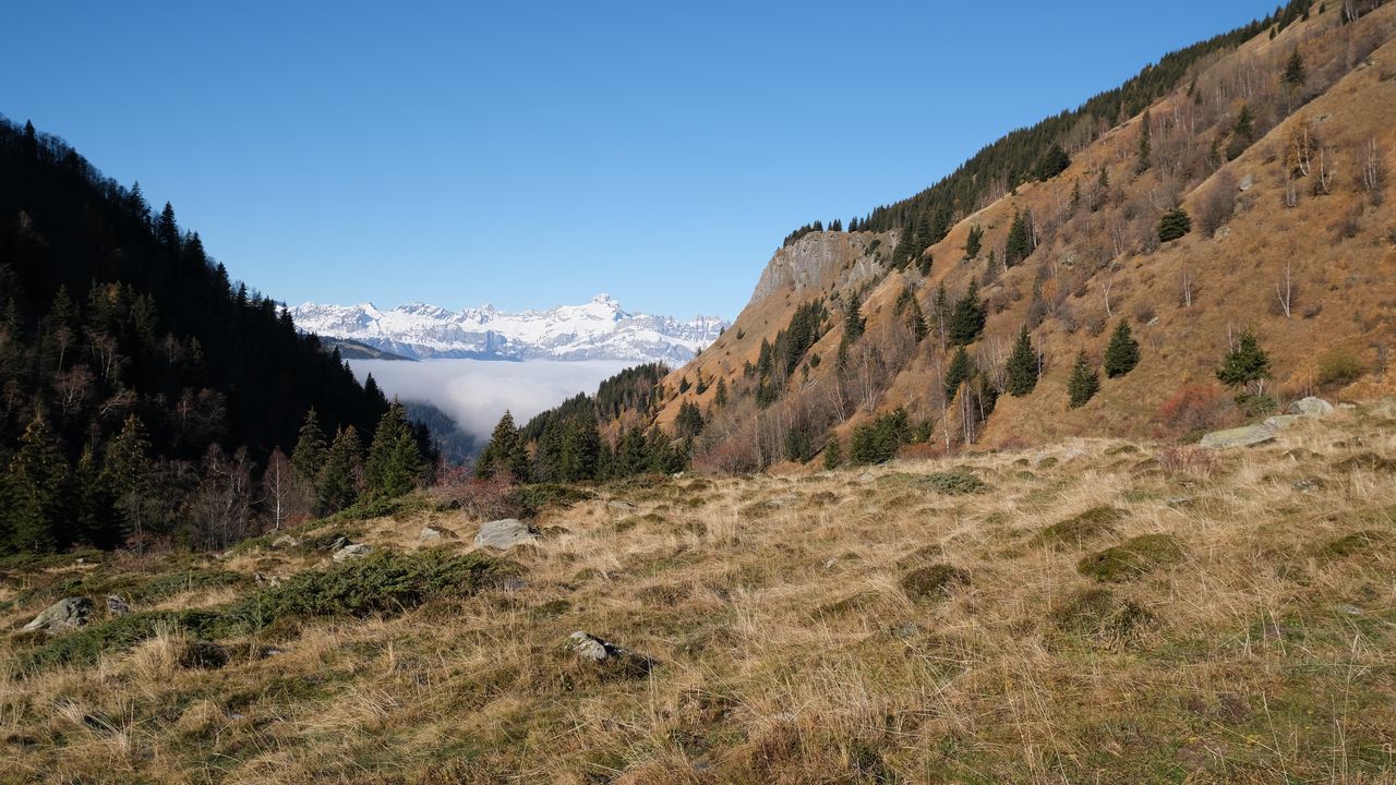 Wallpaper slope, trees, mountains, landscape, snow