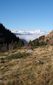 Preview wallpaper slope, trees, mountains, landscape, snow