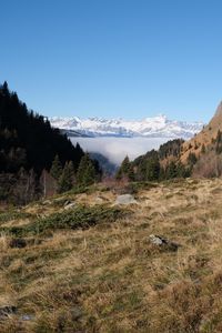 Preview wallpaper slope, trees, mountains, landscape, snow