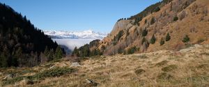 Preview wallpaper slope, trees, mountains, landscape, snow