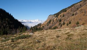Preview wallpaper slope, trees, mountains, landscape, snow