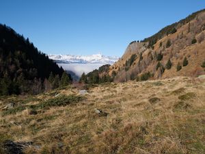 Preview wallpaper slope, trees, mountains, landscape, snow