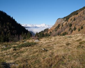 Preview wallpaper slope, trees, mountains, landscape, snow