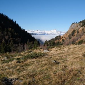 Preview wallpaper slope, trees, mountains, landscape, snow