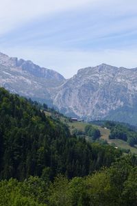 Preview wallpaper slope, trees, mountains, nature