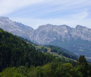 Preview wallpaper slope, trees, mountains, nature