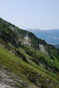 Preview wallpaper slope, trees, nature, mountains