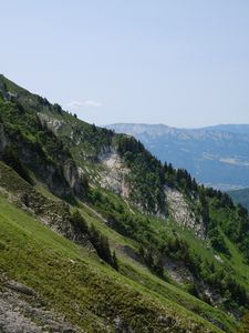 Preview wallpaper slope, trees, nature, mountains