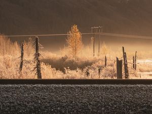Preview wallpaper slope, trees, railway, mountain, nature
