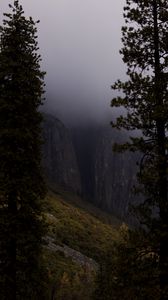 Preview wallpaper slope, trees, rocks, fog, nature