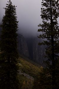 Preview wallpaper slope, trees, rocks, fog, nature