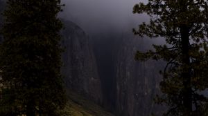 Preview wallpaper slope, trees, rocks, fog, nature