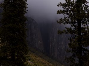 Preview wallpaper slope, trees, rocks, fog, nature