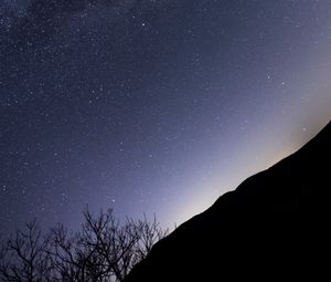 Preview wallpaper slope, trees, silhouettes, stars, night, dark